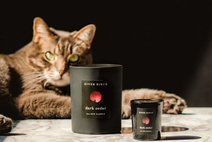 Are candles safe for your pets?